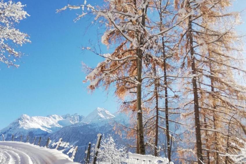 Chalet 3 Zi. in ruhiger Lage, in der Nähe von Verbier - foto 31