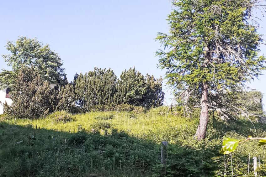 Chesa Blaunca Maloja - foto 20