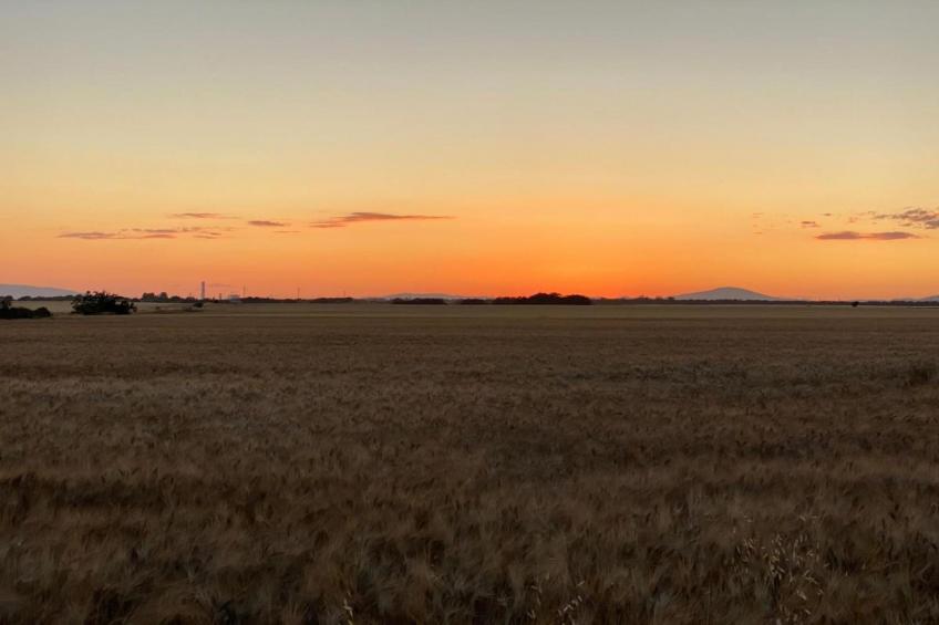 La Lavanda - foto 37