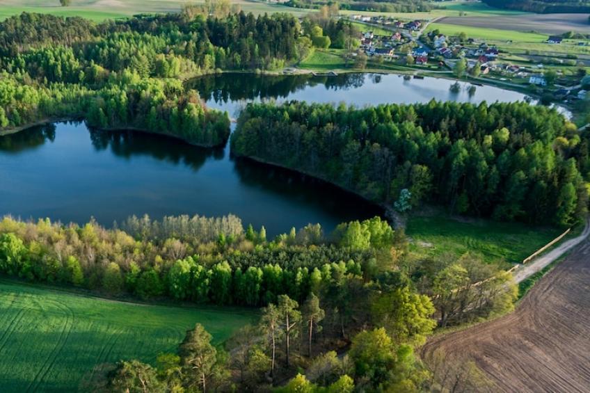Domki letniskowe Dąbie - foto 15