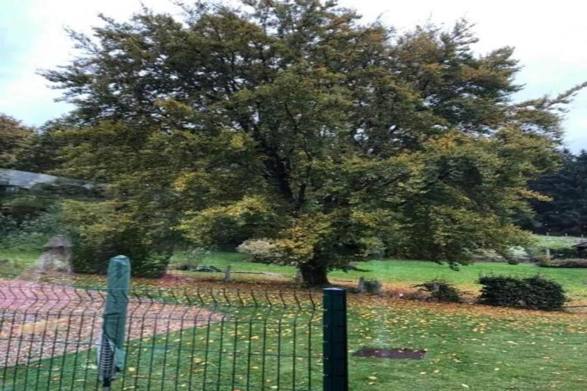 Les Prés Verts - foto 31