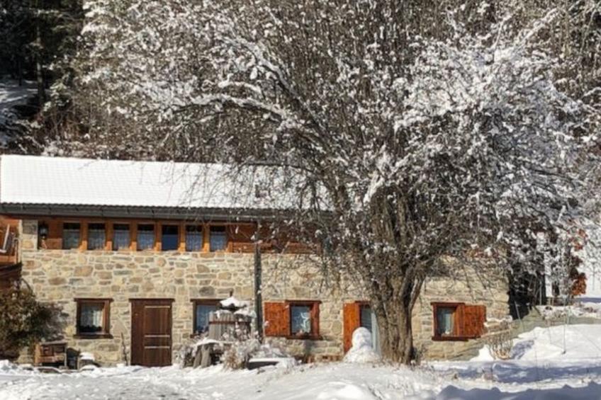 A l'Orée du Bisse - Anzère - foto 6