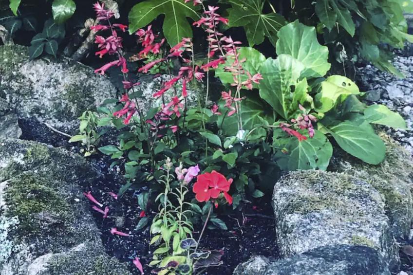 Idyllisches Landhaus mit wunderschönem Garten - foto 18