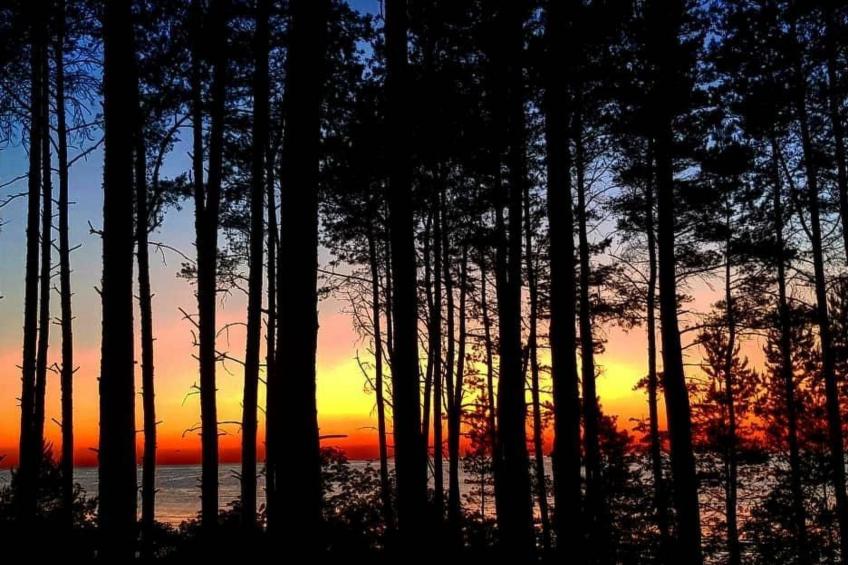 "Eko Domek" mit eigener Terrasse - foto 46