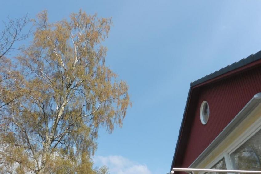 in Klingberg mit Seeblick - foto 48