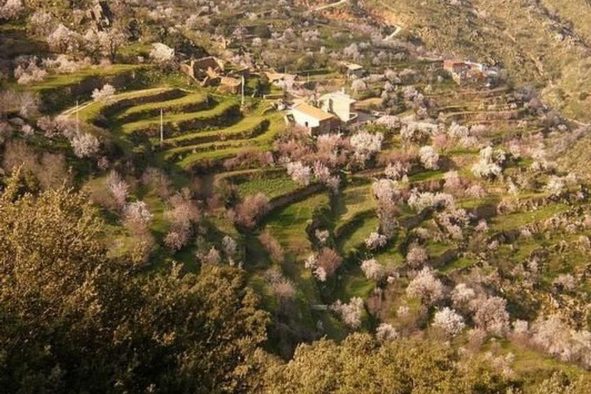 Tenguerengue - foto 15