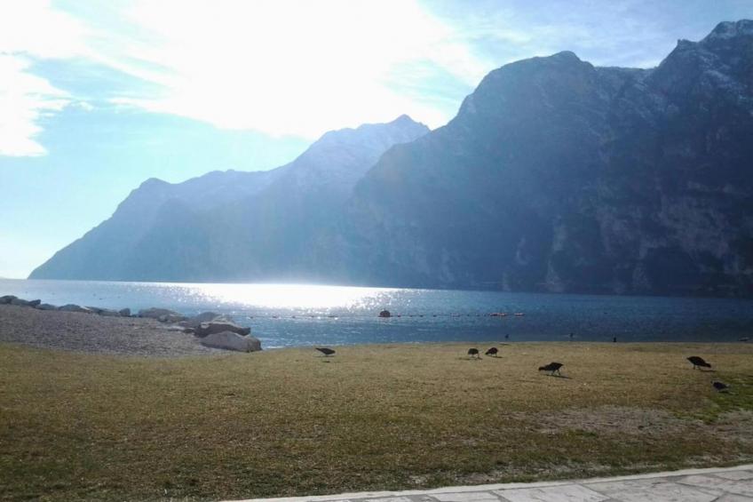 Casa Vacanze a Stenico - foto 32