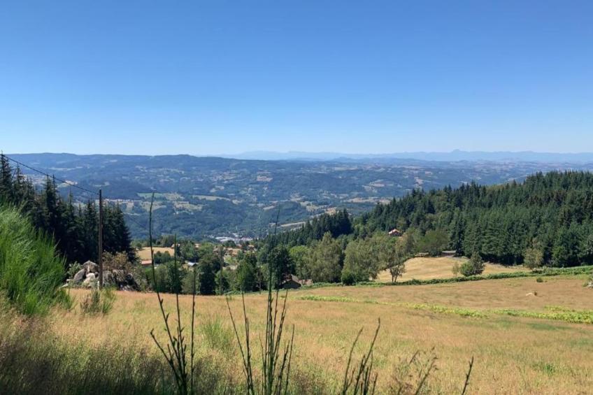 Goutte-Claire - foto 27