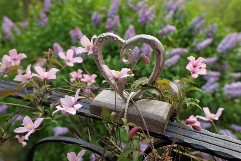 mit einer umwerfenden Panoramaaussicht - foto 46