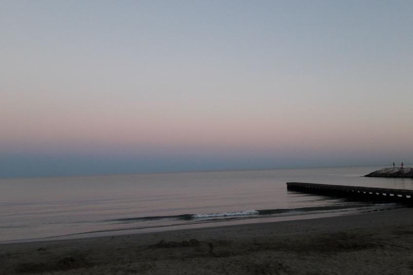 auf einem ummauerten Grundstück - foto 40