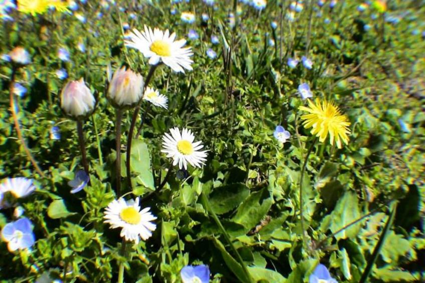 L'oubradou, Mas De Charme, Piscine Partagée En Provence, Nature Et Calme - foto 12
