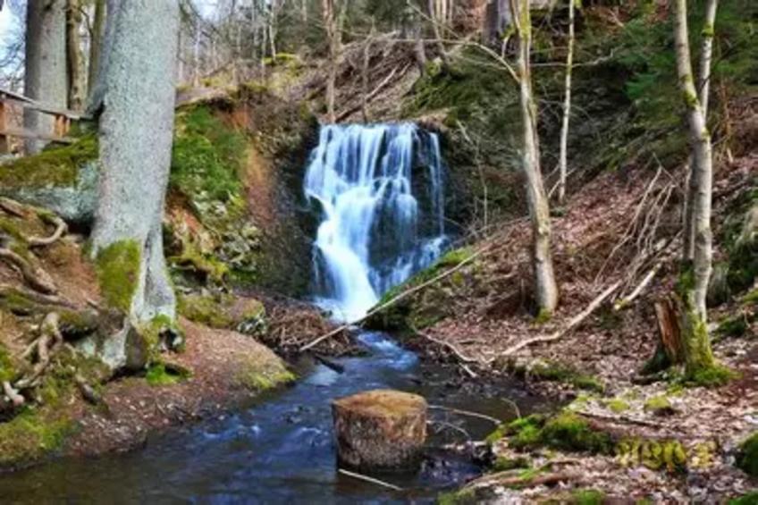 Vakantiehuis, Wieda - foto 33