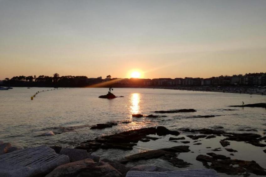 Montalvo Playa 4a - foto 33