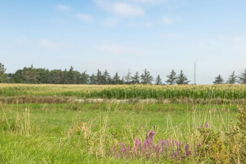 "Ewelina" - 15km from the sea in Western Jutland - foto 20