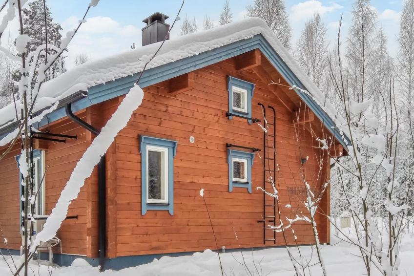 Koli, pihlajapelto - foto 23