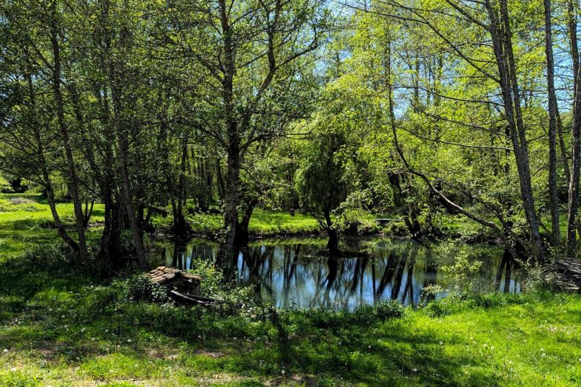 in Périgord Noir Dordogne in der Nähe von Limeuil - foto 23