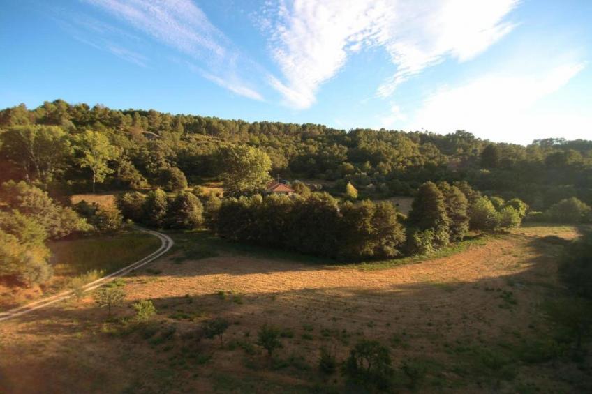 Casa Oliveirinha - foto 23