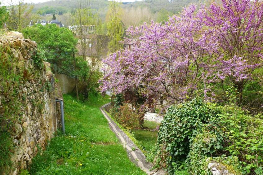 Haus freistehend Sonne Bett 160cm Patio billig - foto 15