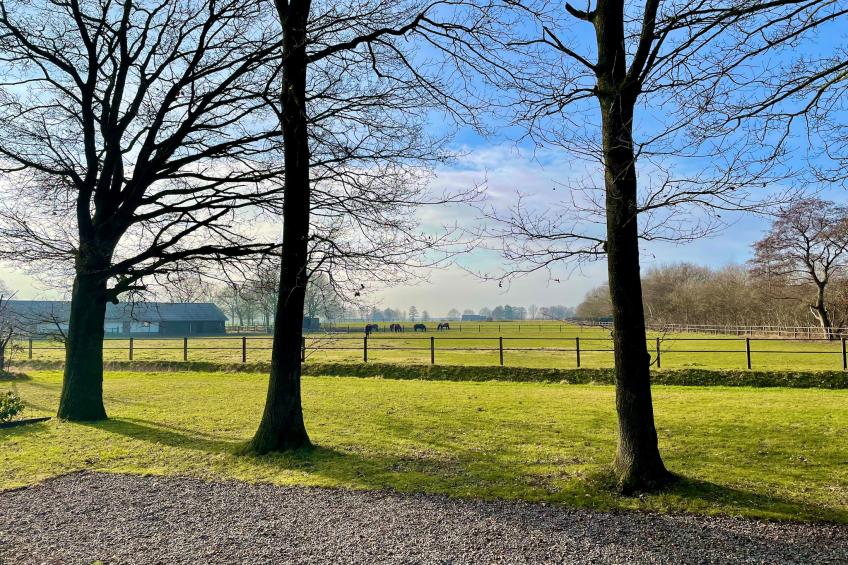 Salland Hideaway - 4 persons - foto 37