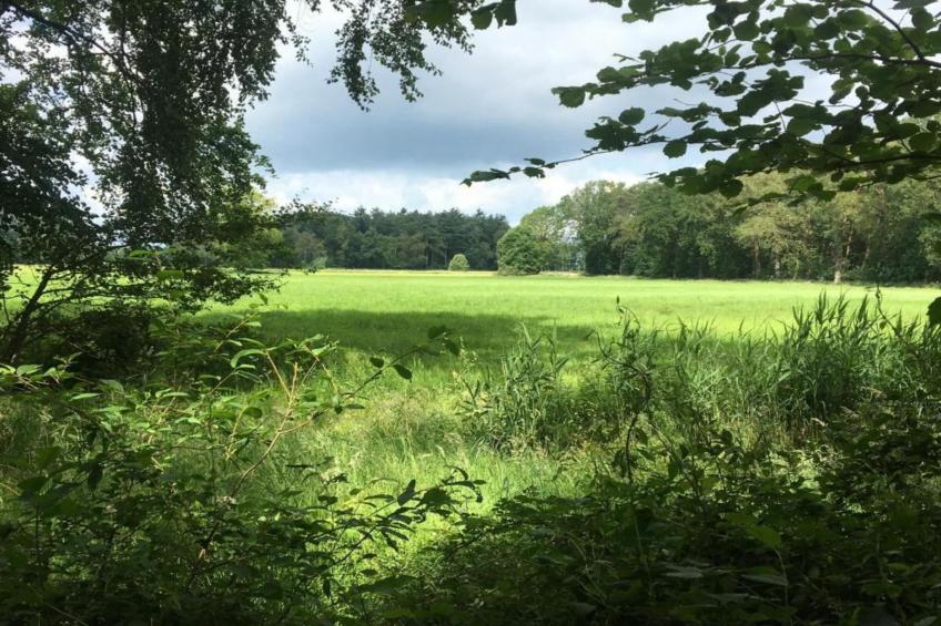 Koe in de Kost 3 - foto 34