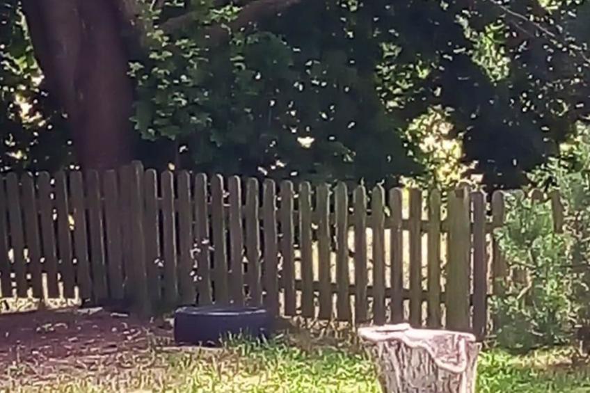 Ideal für Familien - Ruhe und Entspannung - foto 7