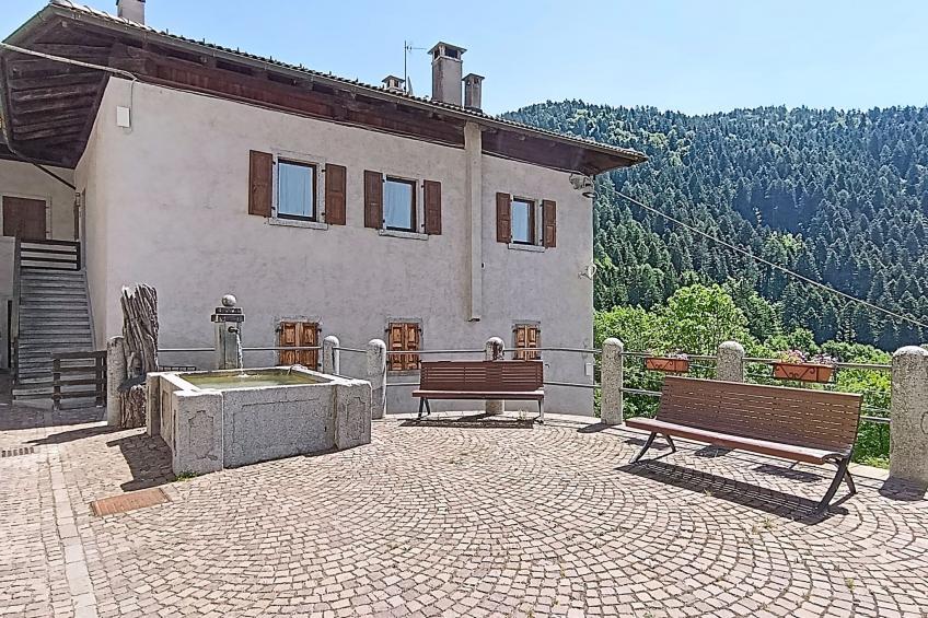 Festér - foto 54