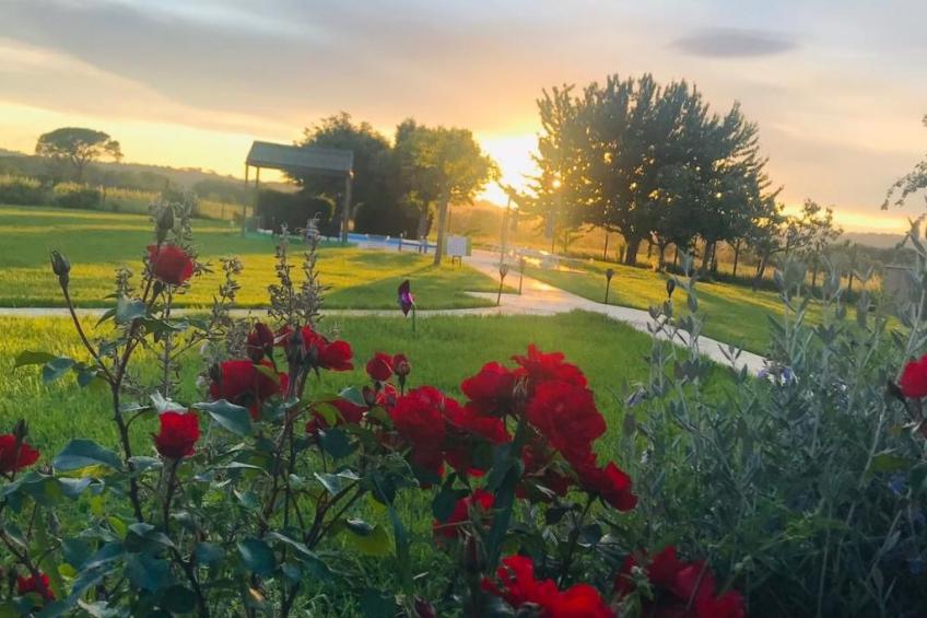 Mela' Wohnung mit Gemeinschaftspool - foto 36