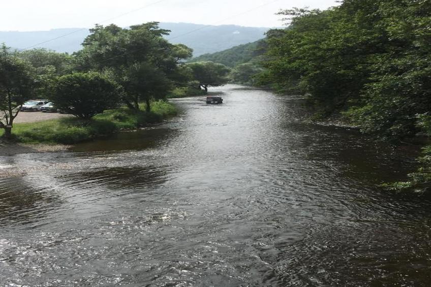 Nid des Amis - foto 33