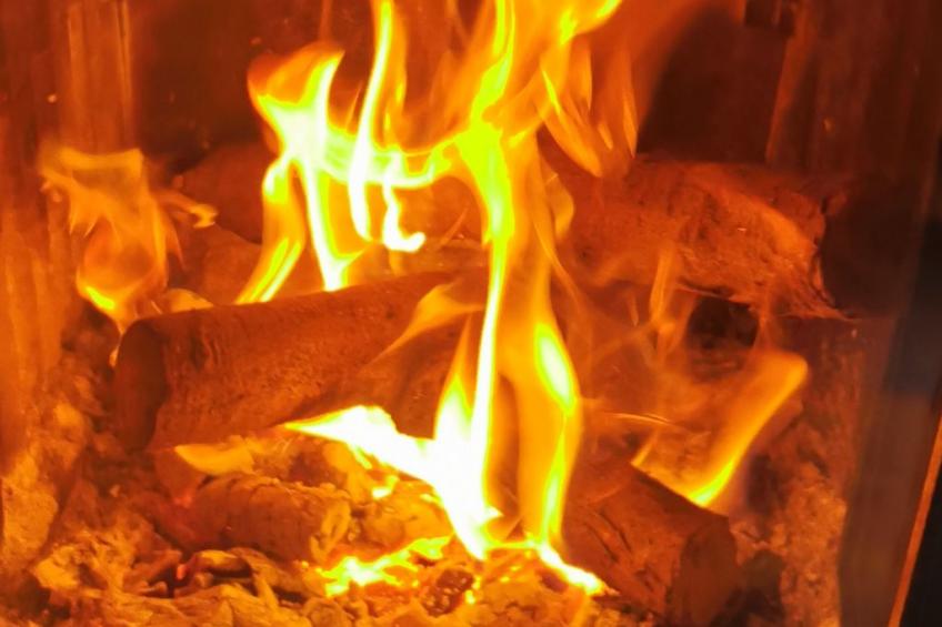 für 4 Personen ca. 65 m² in Brod Moravice, Gespanschaft Primorje-Gorski (G - foto 17