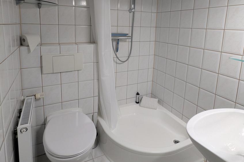 Sommerrose - foto 18