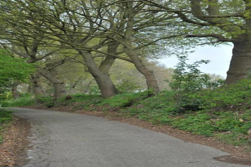 Resort Waterrijk Oesterdam 6 - foto 37