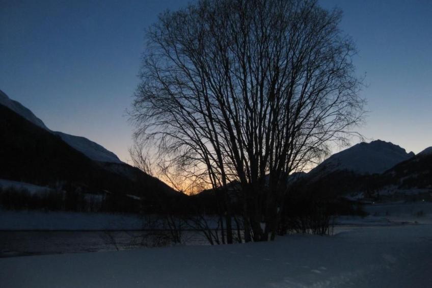 Chesa Robbi S-chanf - foto 4