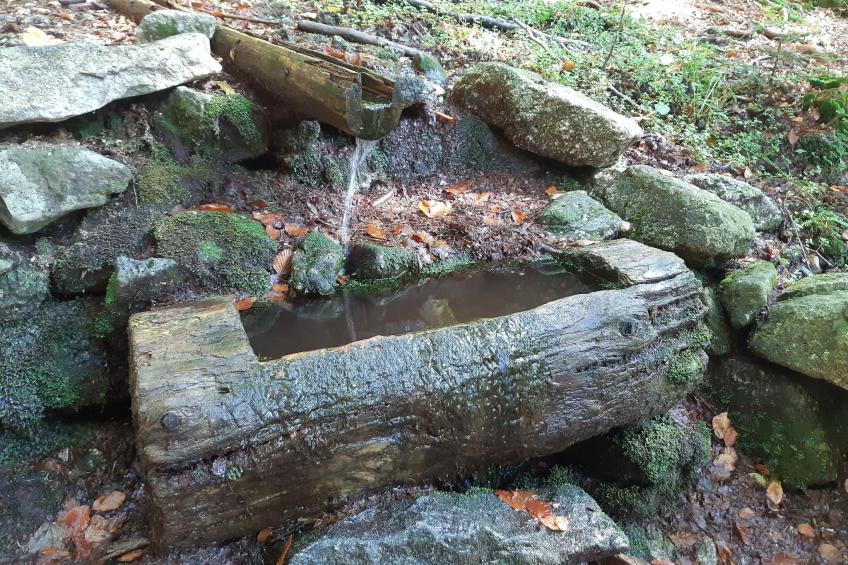 AnNo Wohlfühlplatzl - foto 23