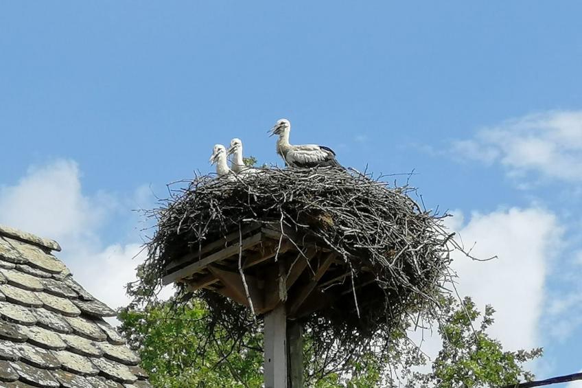 Ländlicher Tourismus - foto 19
