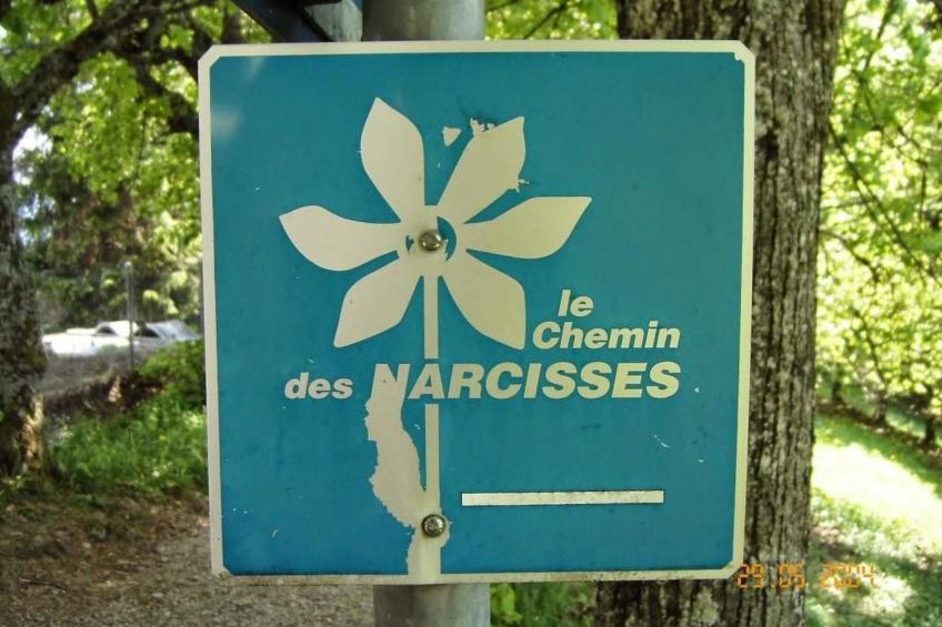 Les Narcisses,Blonay - foto 17