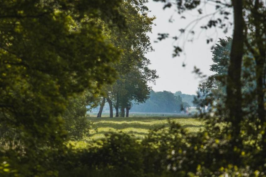 Haulervaart - foto 36