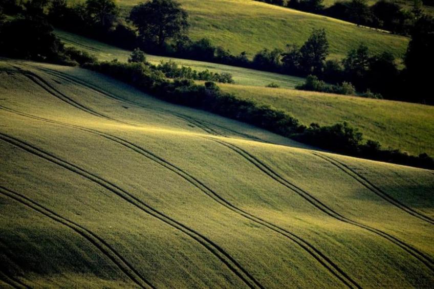 Gîte 1824 - foto 37