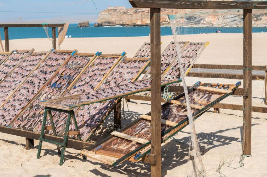 mit Blick auf das Wasser - foto 32