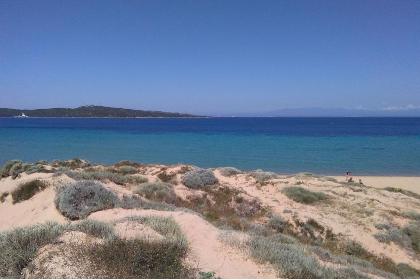 Stazzo mit Garten in Luogosanto - foto 50