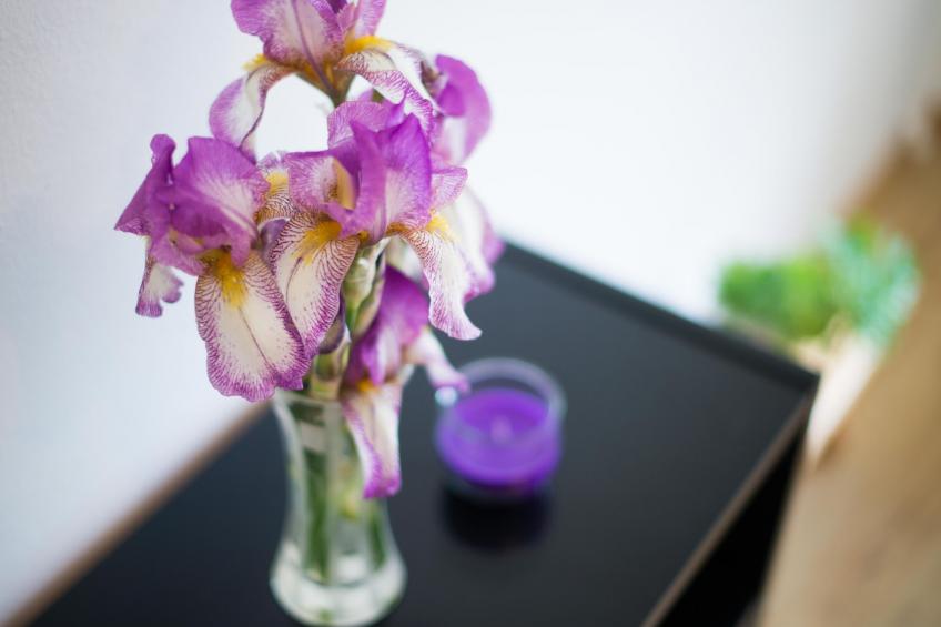 Appartement in Zasip mit Möblierter Terrasse - foto 23