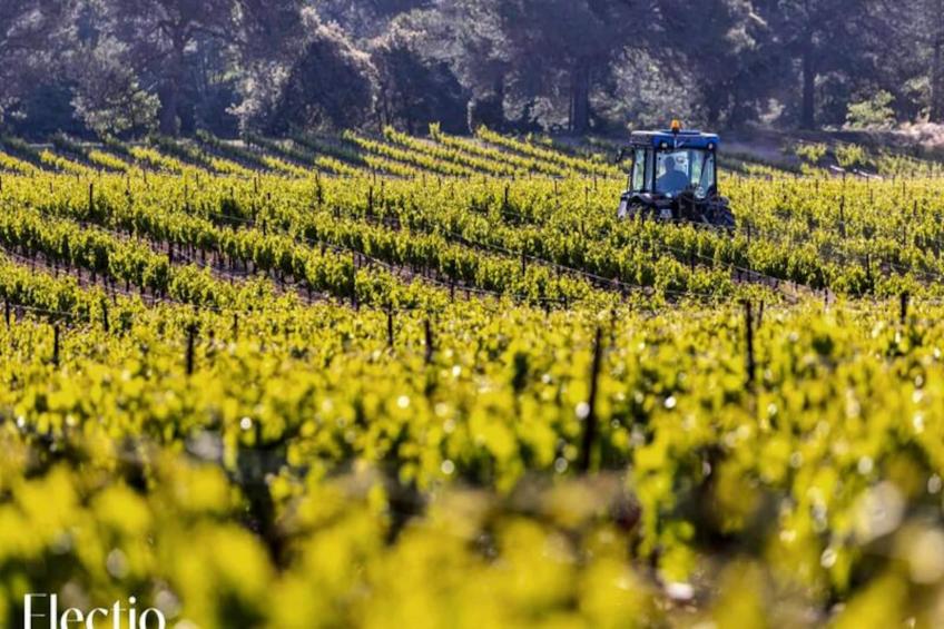 Grande Bastide | Domaine Tour Campanets - foto 60