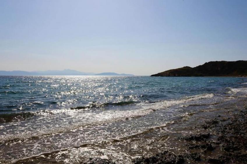 Rafina Port Comfortable - foto 36