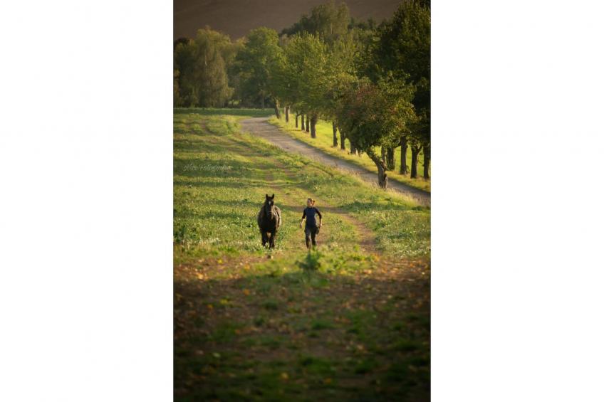 TH3 1P 40€(5) Schulz - foto 19