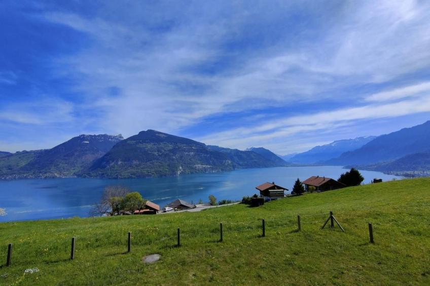 Traumblick Krattigen - foto 37