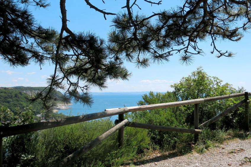 Camping Village Mare Pineta 4 - foto 36