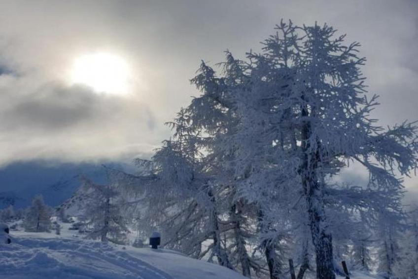 Apartment HAL  - one bedroom apartment - foto 16