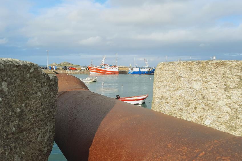 Die Ruhe des Landes am Meer in einer Region mit Gemüseanbau - foto 50