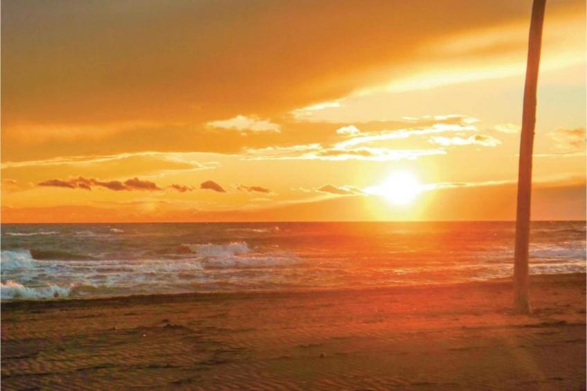 Au bord de l'eau - foto 31