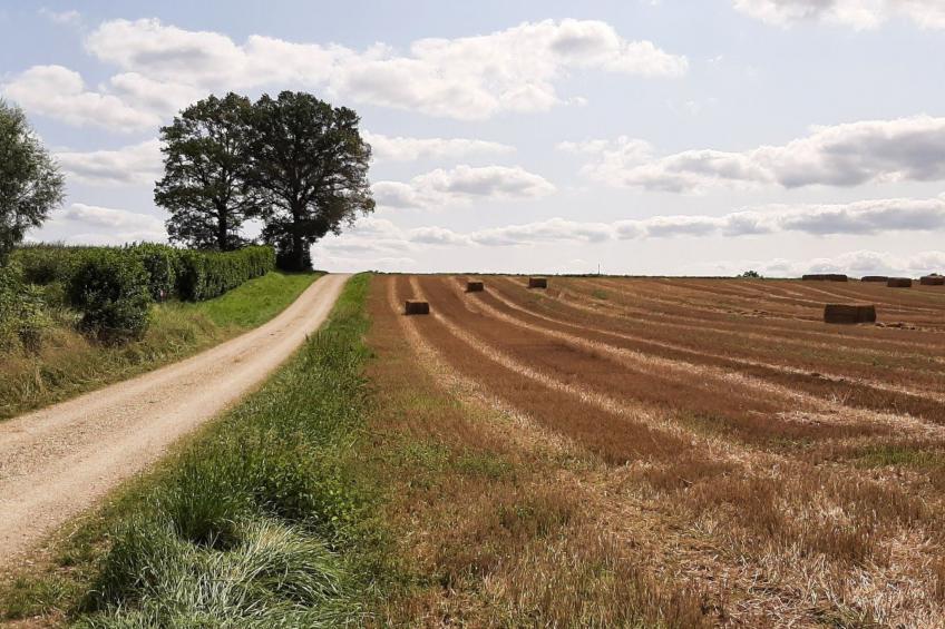 Fachwerkhaus "Charme - foto 18