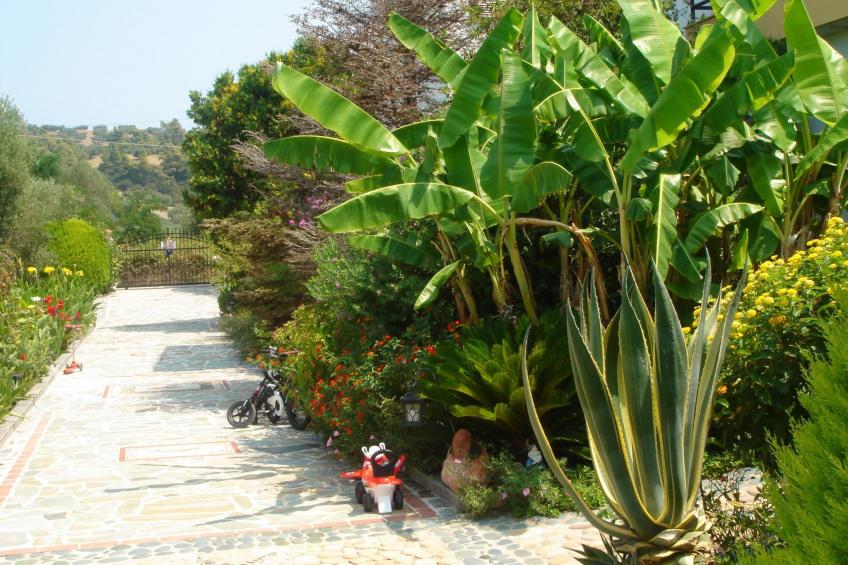 Aus dem Garten direkt an den Strand - foto 12